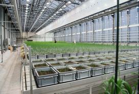 bio-accelerator